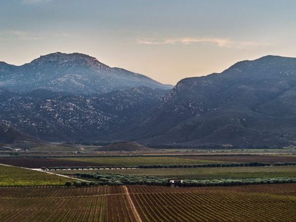 Montage Plans for 62-key Montage Valle De Guadalupe In Baja California